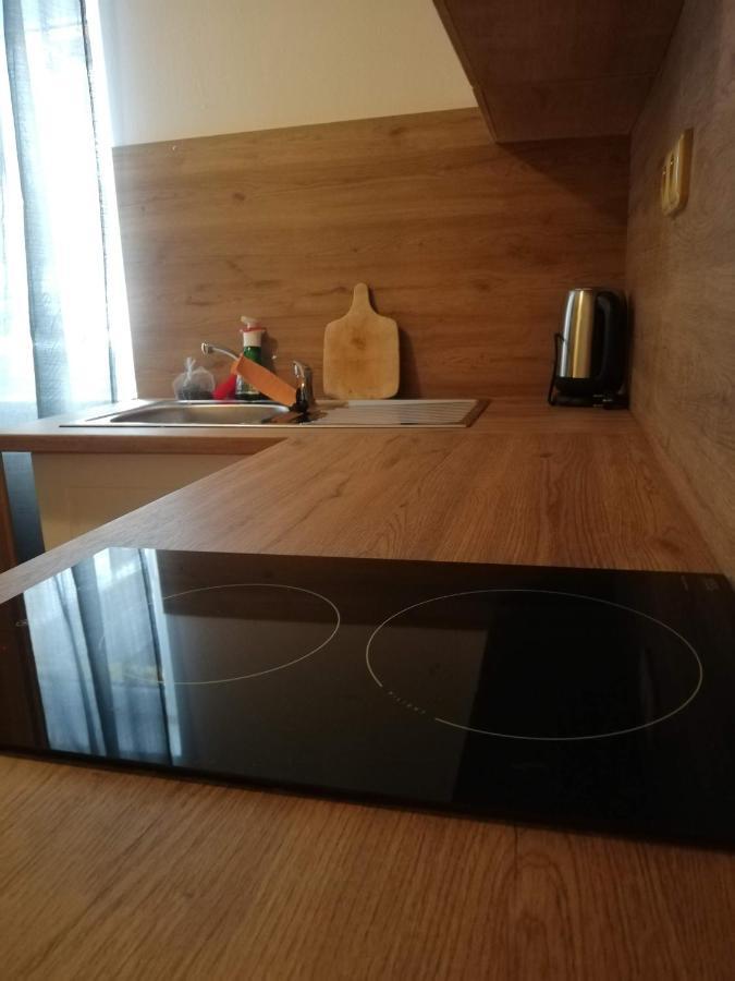 Penzion pod svahem Železná Ruda Exteriér fotografie